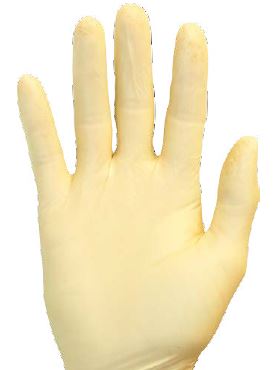 Large Latex Glove Clean Room PF 12&quot; Length 100/Box 100/Case